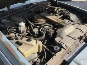 300-03050d Buick Engine 8-307 5.0l Vin Y 8th Digit Fits 81-84 Custom Cruiser 544629