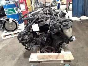 300-09094m Ford Engine 4.6l Vin X 8th Digit Sohc Gt Fits 1998 Mustang 813633