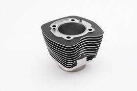 Harddrive 191361122354 Twin Cam Cylinders