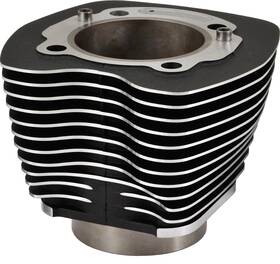 Harddrive 191361123429 Twin Cam Cylinders
