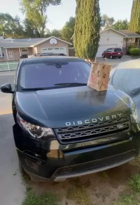 Lr049655 Land Rover 2017 Discovery Sport 2.0l Engine 806 Miles