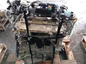 300.le1e21 Lexus Is300 2021 Engine 3591316