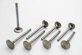 Manley 105528 Valves