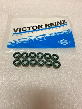 21501189 Victor Reinz 859171 Valve Seat Seal For Volvo D12 Inch Set 12 Pcs Made In Germany