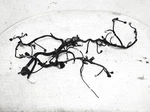 2020-2023 Subaru Outback Main Engine Motor Wire Harness 24020AG74A *dmg Plugs Used. Price: $199.00.