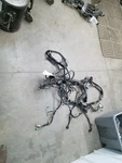 SIERRA150 2008 Engine Wire Harness 308411 Used. Price: $172.50.