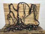 *damage 2022-2024 Lucid Air Complete Body Wire Wiring Harness P11-J50000-03 Used. Price: $399.99.
