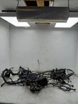 01 02 03 04 05 06 Lexus LS430 Main Engine Room Wire Harness 82111-50A00 Used. Price: $277.49.