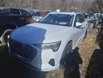 2019 Audi E-tron 0.0L Engine Motor Oem 75K Miles LKQ409548109 Used. Price: $1913.30.