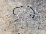 Chevrolet Corvette C6 2005-2013 Wheel Abs Speed Sensor Electric Wire Cable Plug Used. Price: $19.99.