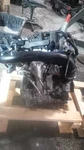 Engine 1.5L Vin 8TH Digit Fits 23-24 Bronco Sport 460083 Used. Price: $1979.12.