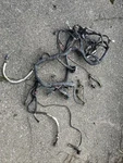 2007-11 Jeep Wrangler 3.8L Manual Trans Engine Wiring Wire Harness 05148151AC Used. Price: $225.00.