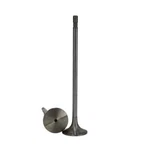 Pack Of 6 Intake Valve Bimetallic 20740798, 211-4307, 7420712128, New. Price: $125.46.