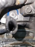 Engine Motor Oem 17-19 Kia Soul 1YR Wrnty 1V6812EH00 Used. Price: $3350.00.