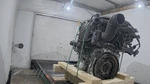 Engine 1.6L Vin 8TH Digit Fits 16-17 Veloster 522612 Used. Price: $1736.80.