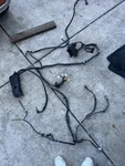 98 99 Lexus GS300 3.0L Engine Wire Harness Used. Price: $280.00.