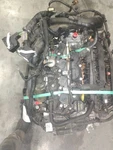 Used Engine Complete Assembly Fits: 2019 Ford Escape 1.5L Vin 8TH Digit Turbo. Price: $2815.90.
