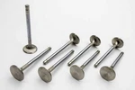 Manley Performance Products Sbc B/p 2.020IN Intake Valves 10552-8 New. Price: $110.49.
