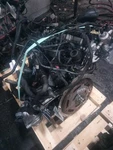 Engine 2.0L Vin 5TH Digit Fits 18 Audi Q5 670925 Used. Price: $4427.80.