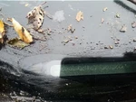 Engine 5.7L Vin 8TH Digit Id Ezd Fits 09-10 Challenger 303027 Used. Price: $2150.00.