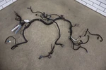 2001 Pontiac Firebird 3.8L 3800 Engine Wiring Harness Oem Used. Price: $199.00.