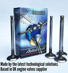Inlet Intake Valves Fit To Bmw 320I/IS11341309343 ENG.S14B23 Mod E30 S38B36 New. Price: $97.27.
