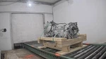 Used Automatic Transmission Assembly Fits: 2020 Kia Stinger 2.0L Awd Grade. Price: $1155.00.