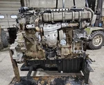 Freightliner Cascadia 2021: Engine Assembly Detroit DD15 505 Hp 563K Mile Used. Price: $10950.00.