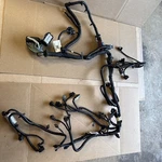 2022 Ford Escape Engine Wiring Harness, 2.5L Hybrid, At, Fwd, KU5T-12C508-JG. Price: $330.00.