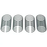 Genuine Sealed Power Engine Piston Ring Set E-247X New. Price: $129.37.