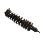 Bilstein 41-173435 Suspension Strut Assembly New. Price: $363.70.