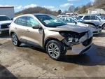 2021 Ford Escape 2.0L Engine Vin 6 Turbo 30K Miles Used Oem 300-10450. Price: $1928.50.